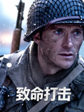 致命打击海报