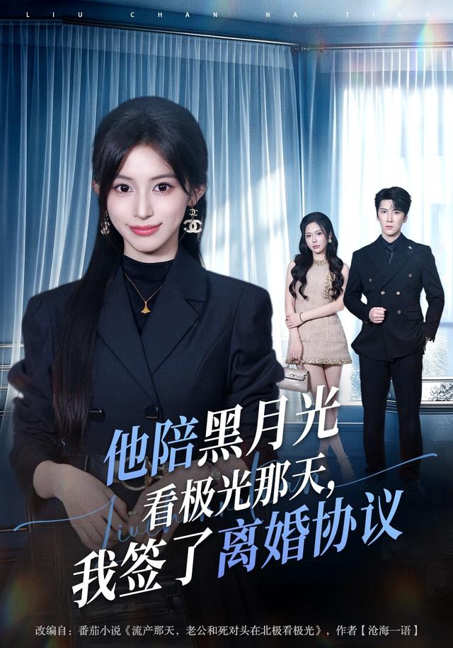 他陪黑月光看极光那天，我签了离婚协议海报