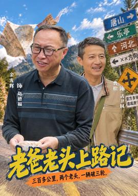 老爸老头上路记海报