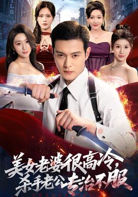 美女老婆很高冷，杀手老公专治不服海报