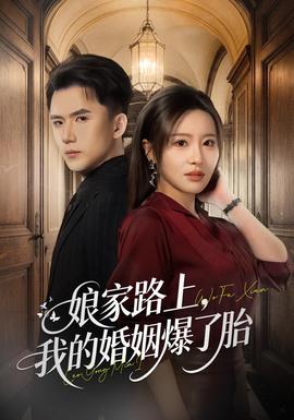 娘家路上，我的婚姻爆了胎海报