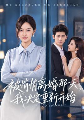 被悄悄离婚那一天，我决定重新开始海报