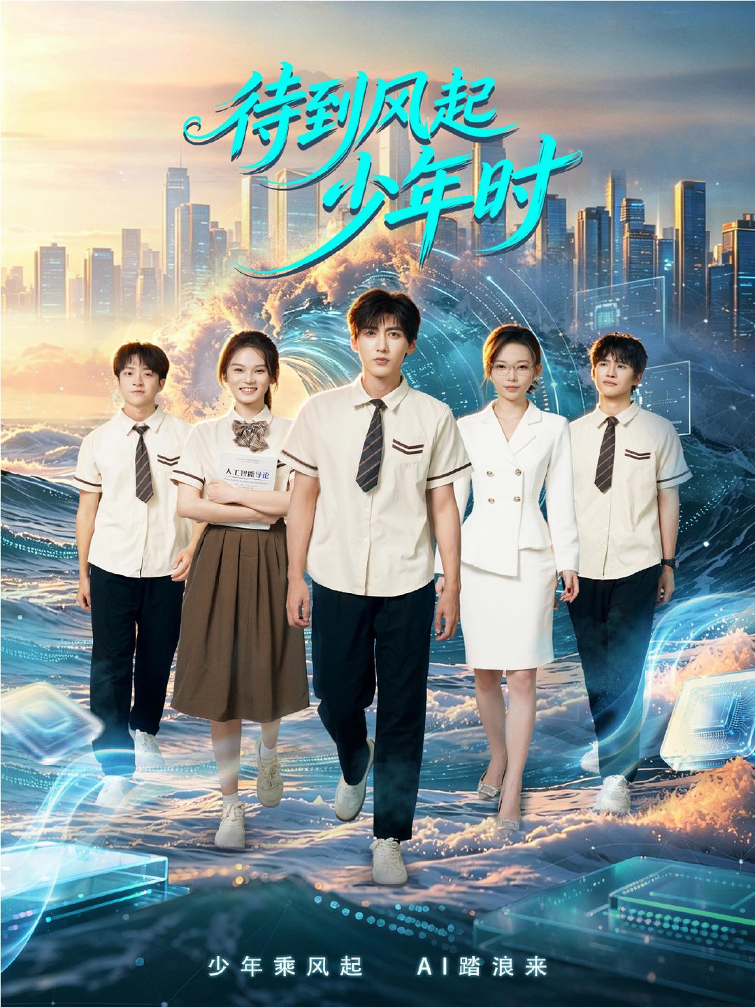 待到风起少年时海报