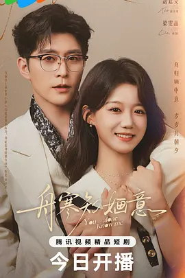 舟寒知婳意海报