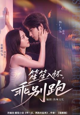 笙笙入怀，乖别跑海报