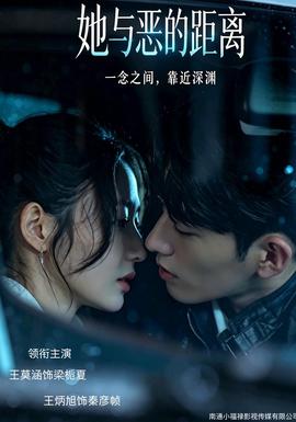 她与恶的距离海报
