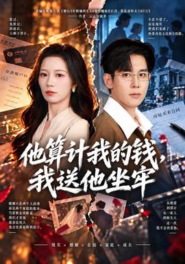 他算计我的钱，我送他坐牢海报